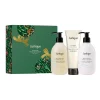 Flash Sale 👍 Jurlique Restore Hand & Body Ritual Gift Set 👏